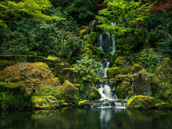 Nada mais é difícil