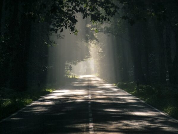 A Luz Celeste clareia os caminhos rumo à vitória