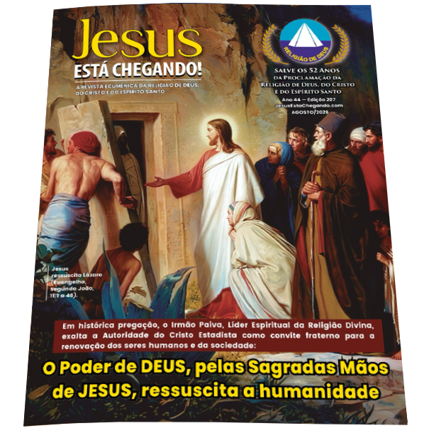 Edição 207